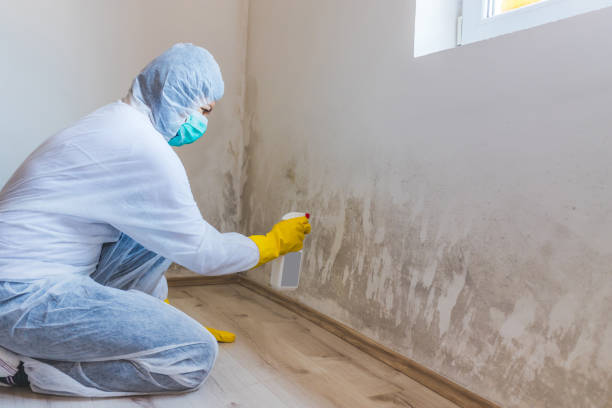 Licensed Crawl Space Mold Remediation service in Clarksville, TX - 24 Hour Mold Removal