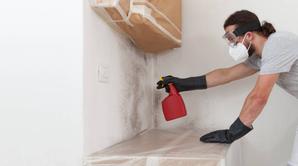Professional Crawl Space Mold Remediation technician working in Clarksville, TX