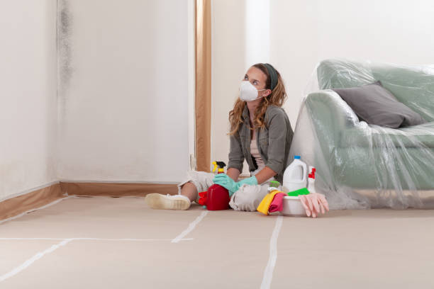 Reliable Crawl Space Mold Remediation contractor in Clarksville, TX by 24 Hour Mold Removal