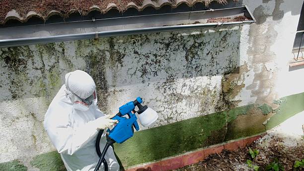 Top rated local Crawl Space Mold Remediation specialists in Clarksville, TX